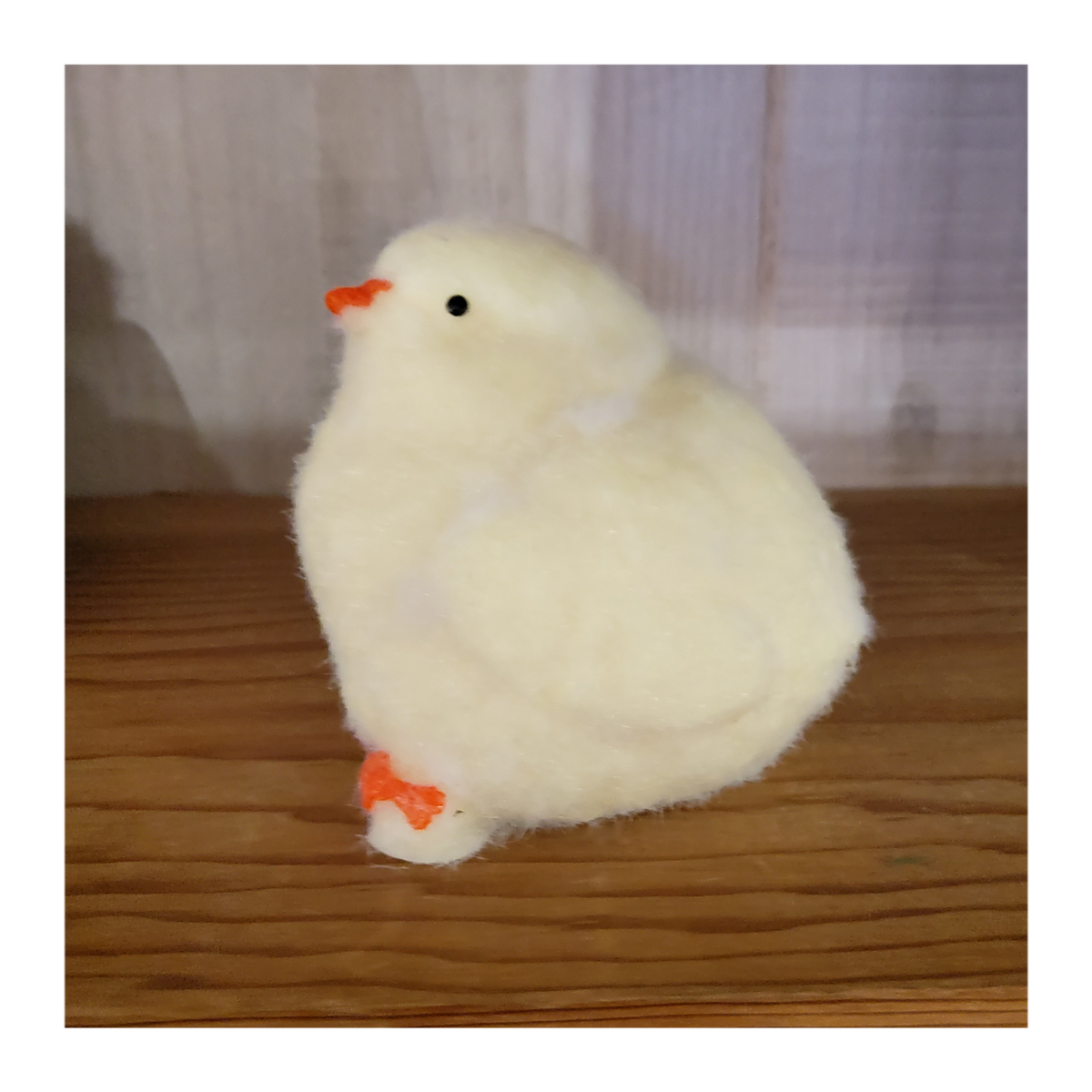 Squishy Chick