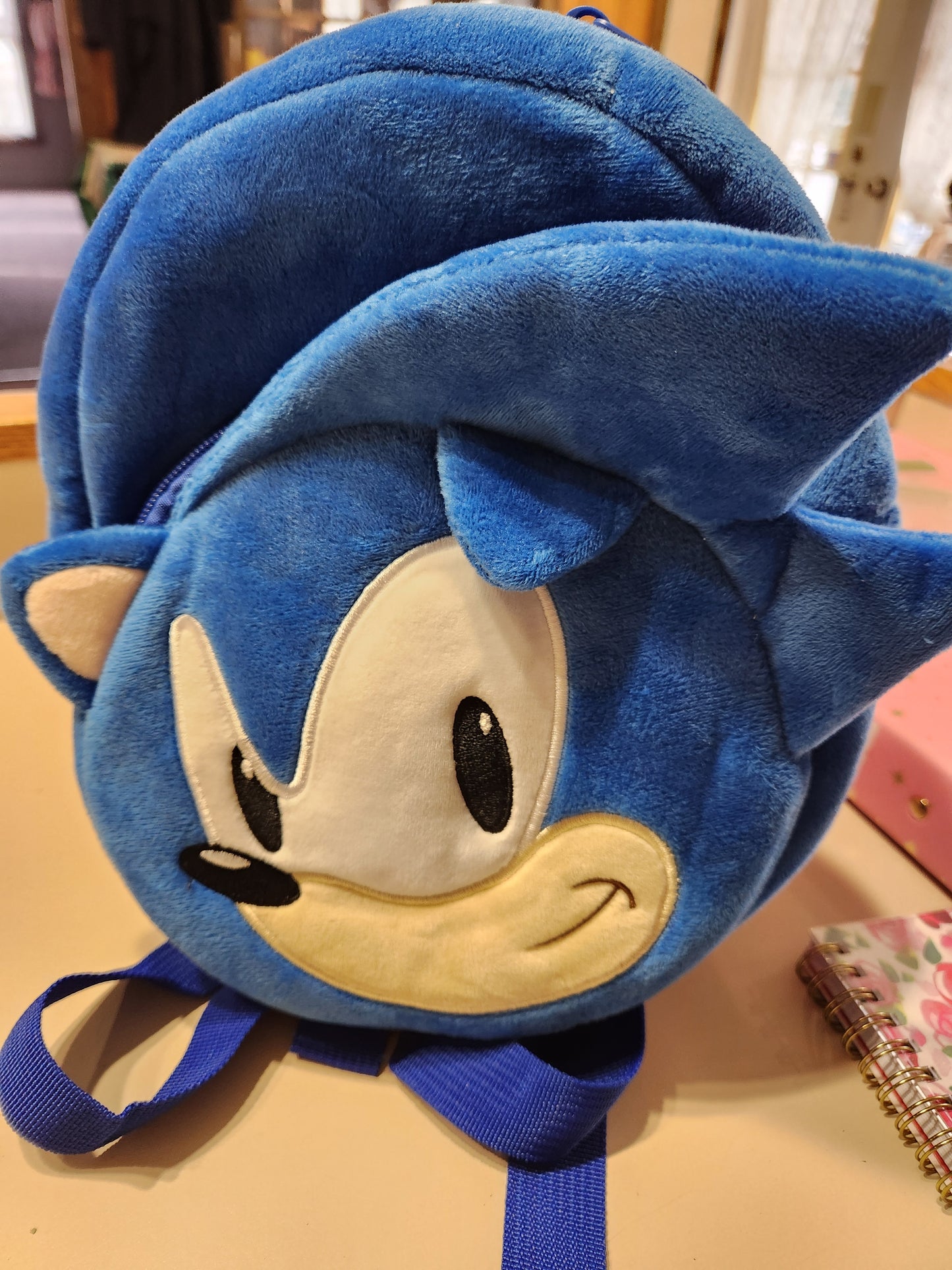 Sonic Backpack
