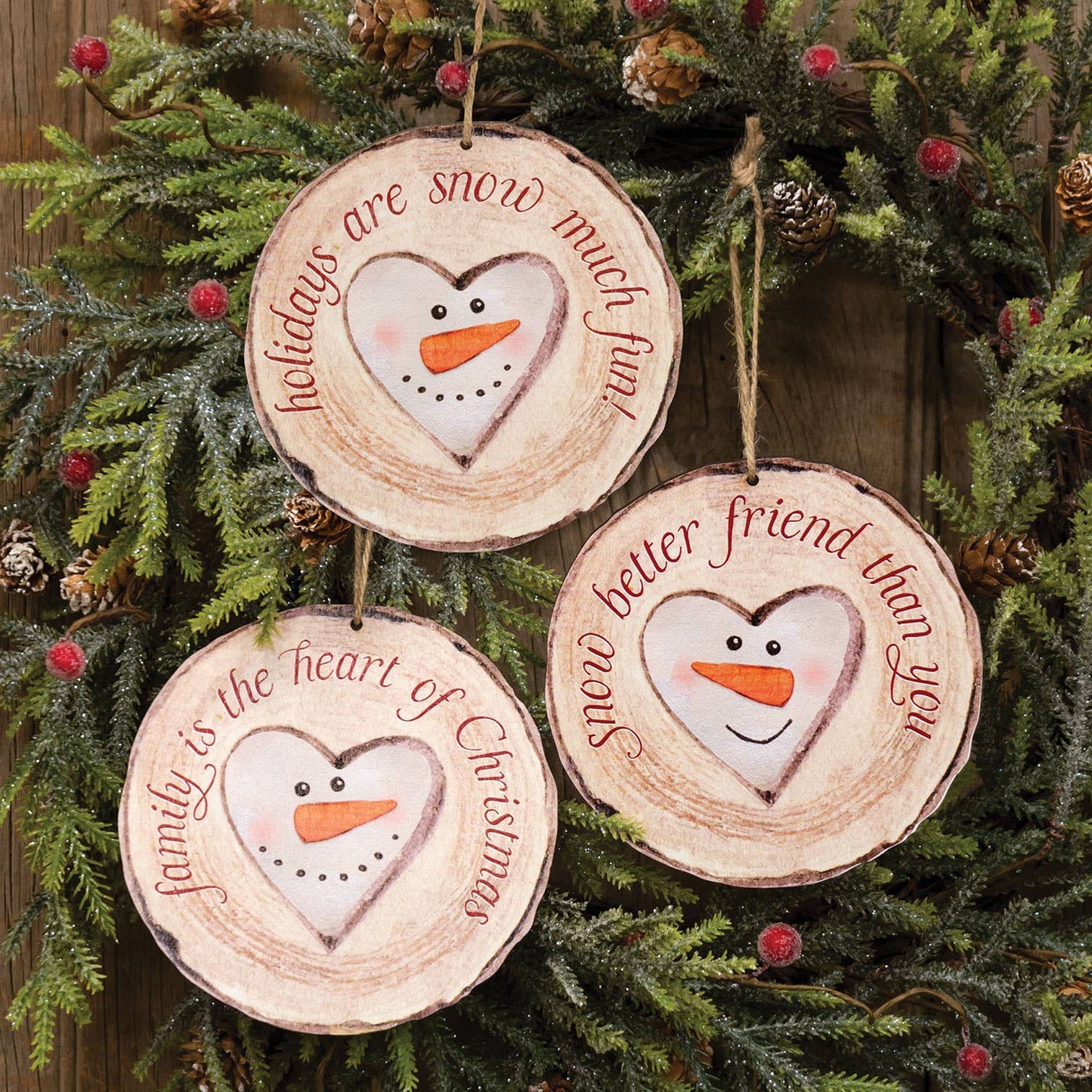 Snow Much Fun Wood Slice Ornament, 3 Assorted