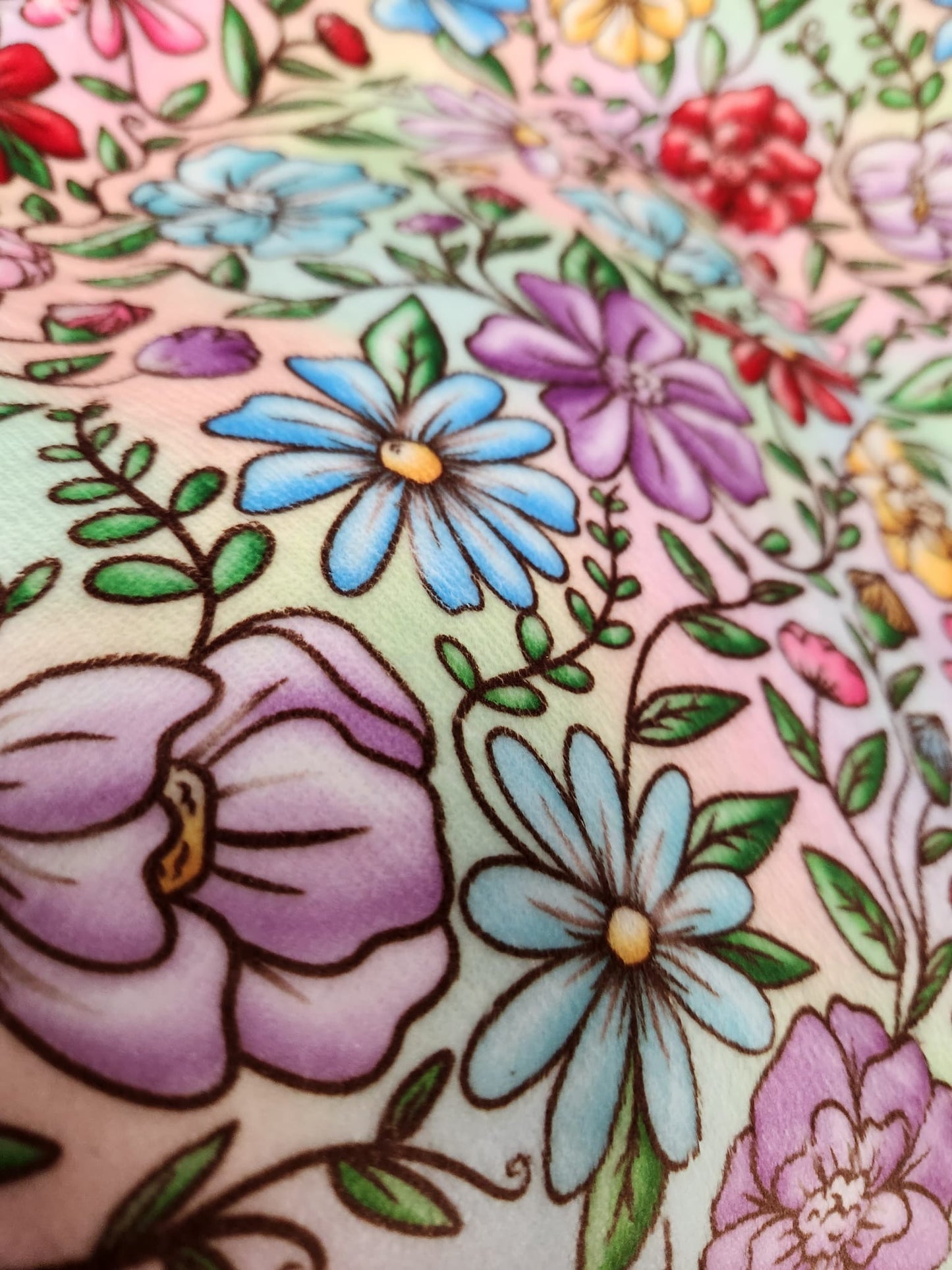 ROSE M- GIANT SHAREABLE THROW BLANKETS ROUND 7 -PREORDER CLOSING 8/18