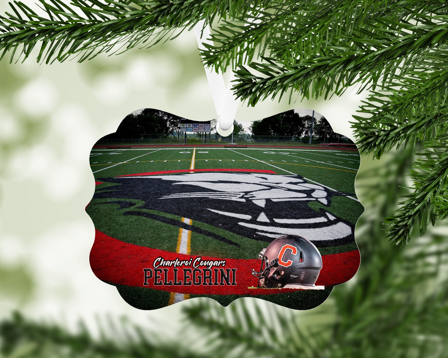 Cougar Football Customizable
