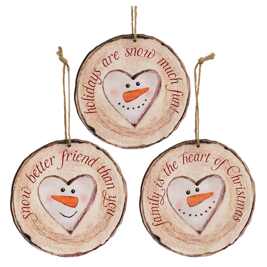 Snow Much Fun Wood Slice Ornament, 3 Assorted