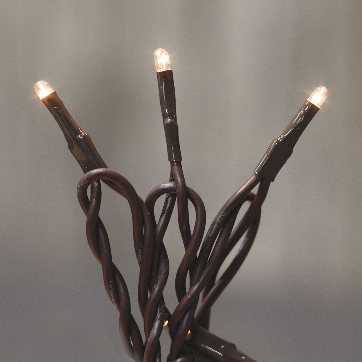 50 ct. Teeny Lights - Br cord